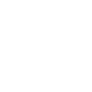 Logo_SantaBrigida